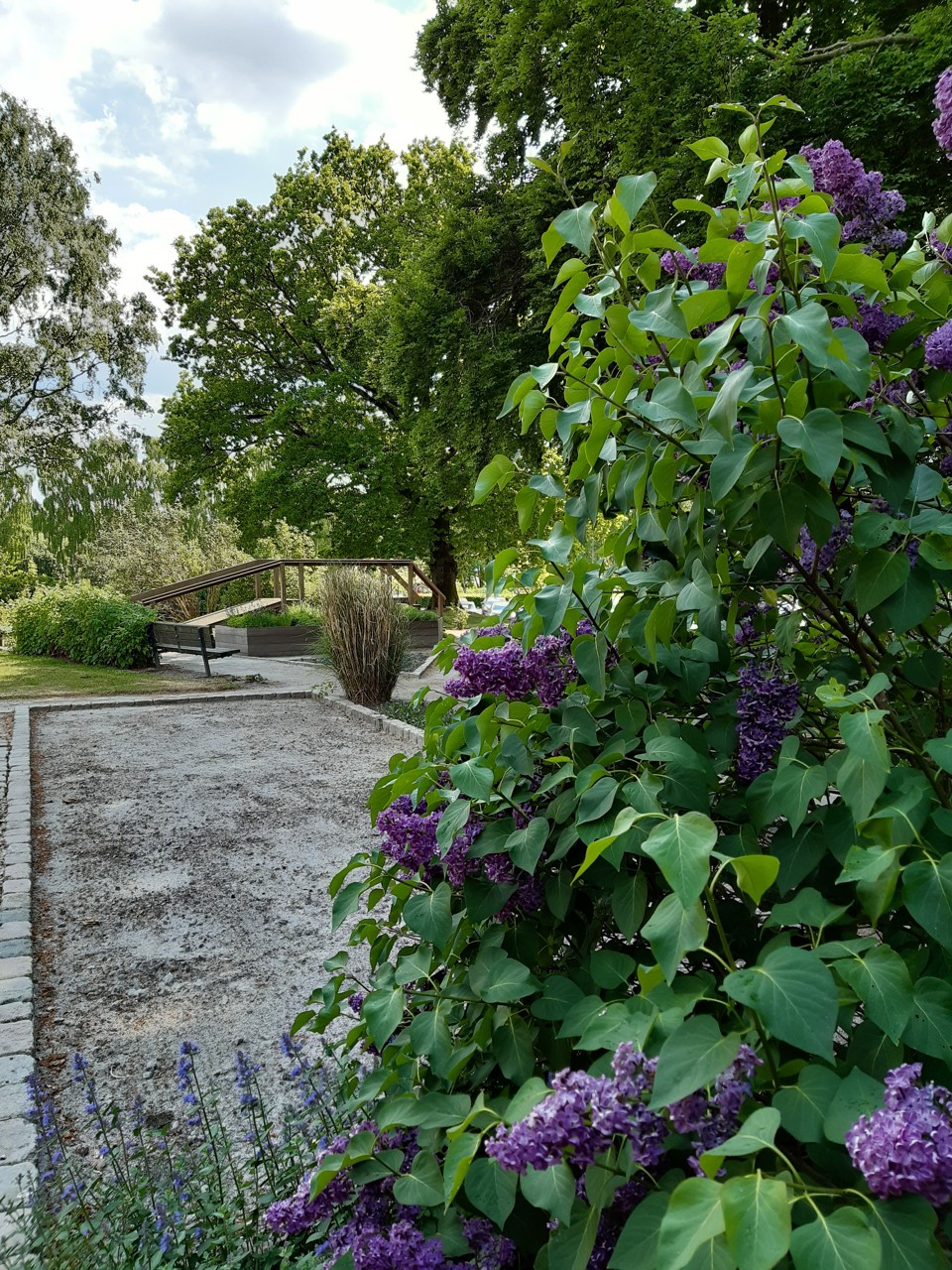 Grønne omgivelser omkring Grindsted Sygehus