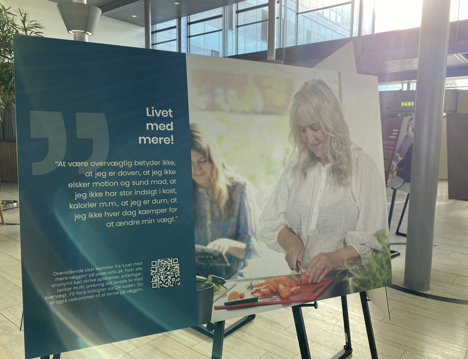 Vandreudstilling i sygehusets forhal