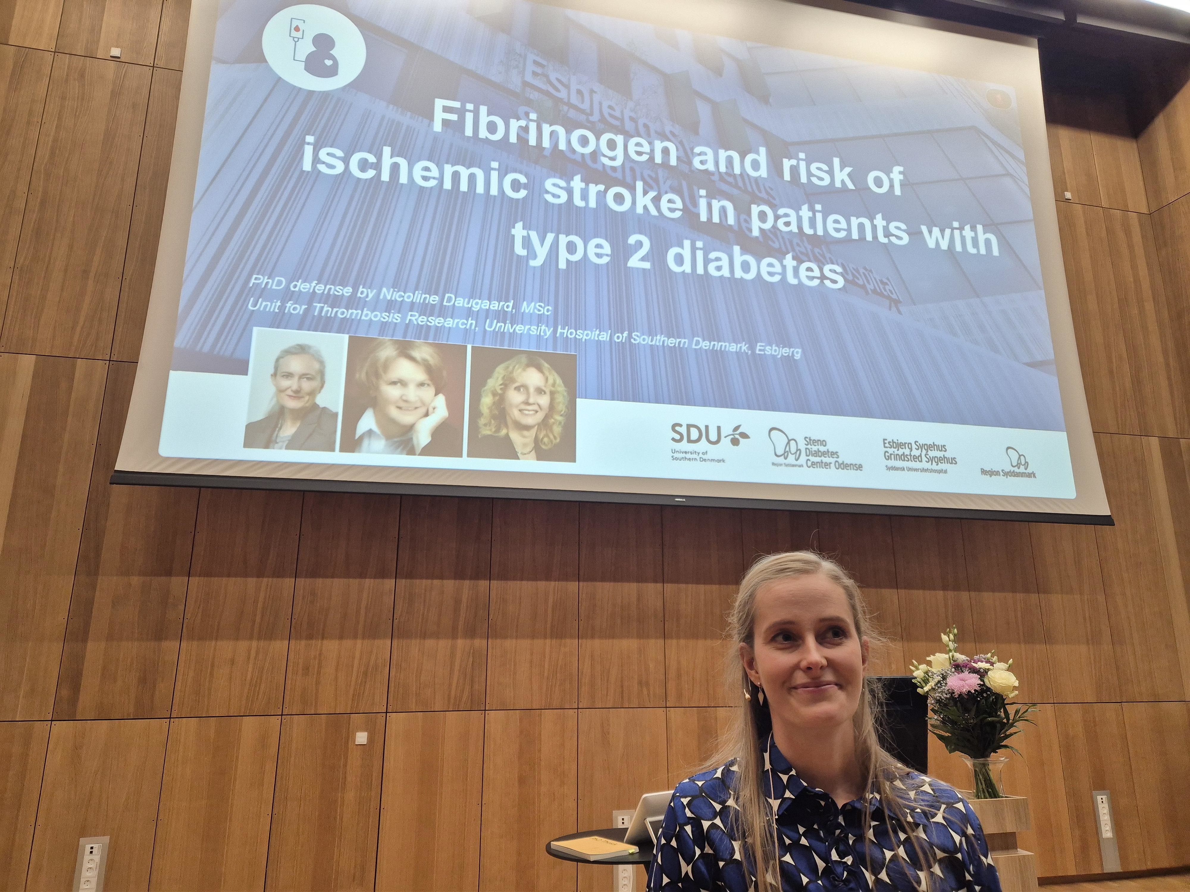 Nicoline Daugaard, Auditoriet