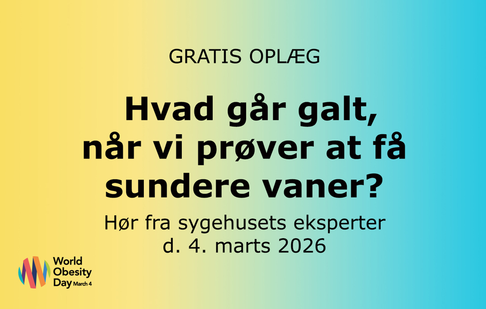 Grafik fra arrangement i forbindelse med World Obesity Day, d. 4. marts 2026