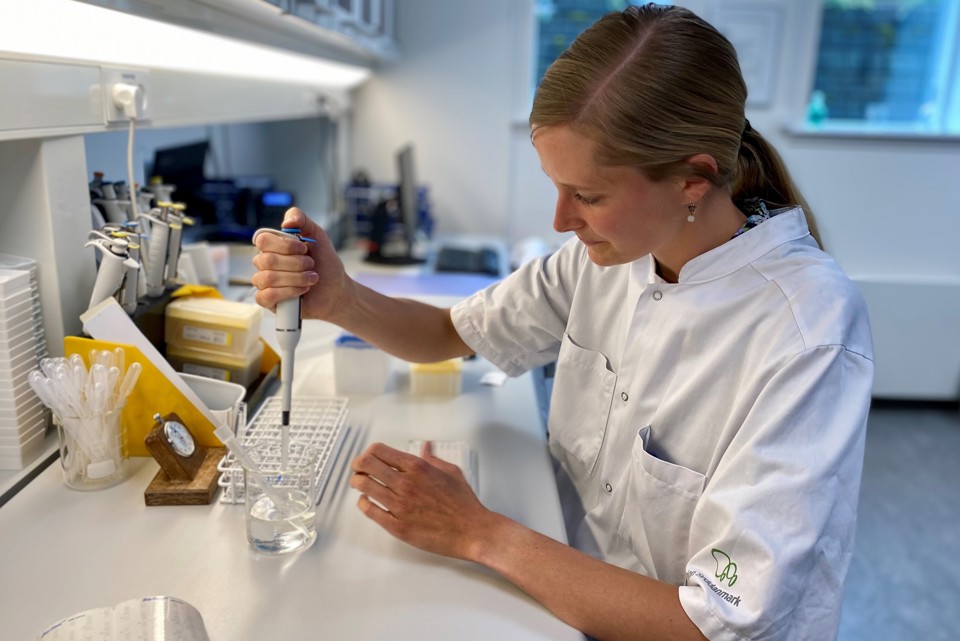 Nicoline Daugaard er ph.d.-studerende og cand.scient. i biomedicin.