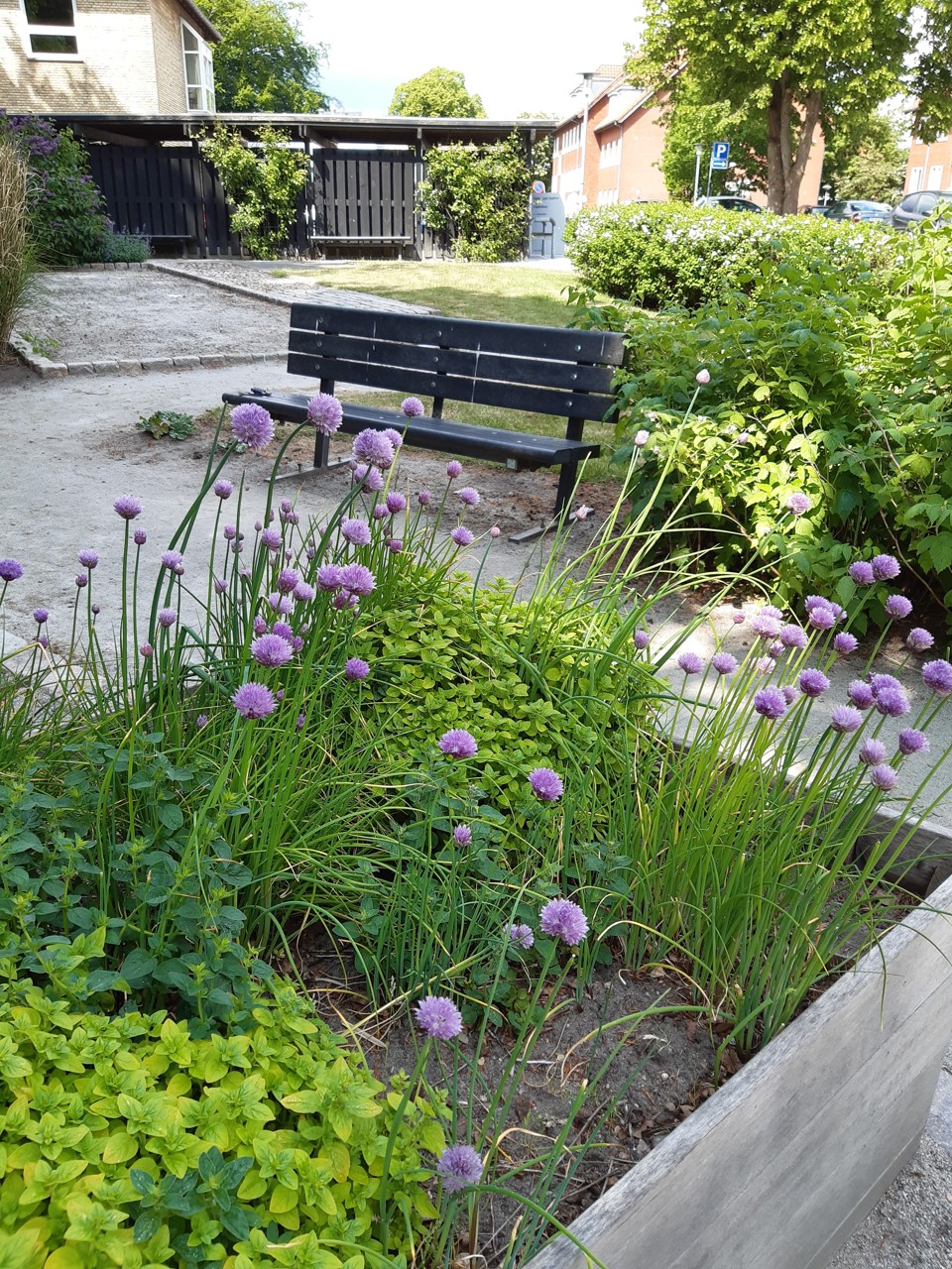 Grønne omgivelser omkring Grindsted Sygehus