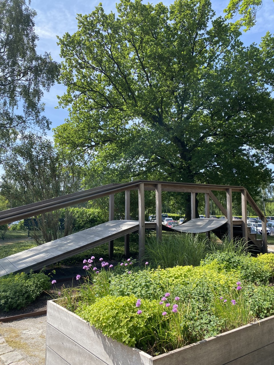 Grønne omgivelser omkring Grindsted Sygehus