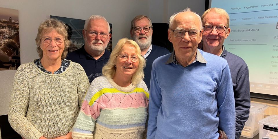 IT-frivillige fra Ældre Sagen